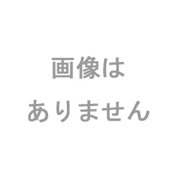 SS-2.0F　SS-250F用中厚切用スライス円盤 (2枚刃)(2.0mm厚)